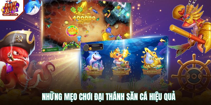 Những mẹo chơi Đại Thánh Săn Cá hiệu quả